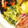 ccccccc7's cooksnap of when they made 《簡単》★豆苗のナムル★ささっと５分.