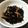 Aasa21229's cooksnap of when they made 超簡単！ひじきの煮物♪.