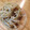 てゅってゅ's cooksnap of when they made 簡単！優しい味。切干し大根とえのきの煮物.