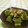 赤い電話's cooksnap of when they made 四角豆の味噌マヨ和え.