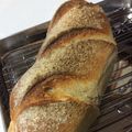 ♦︎ハイセ♦︎'s cooksnap of when they made お手軽にライ麦パン.