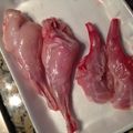 クックGFY8CA☆'s cooksnap of when they made ラパン（うさぎ肉）の捌き方.