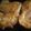 ﾍﾞｼﾞ子♣'s cooksnap of when they made 簡単で旨い！照り焼きチキン！.