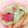 ゆーこリン♡'s cooksnap of when they made ヘルシー炒め物！.