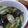 理央♪りお's cooksnap of when they made 切って炒めて混ぜるだけ♪サラダ菜のスープ.