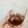 かむえ's cooksnap of when they made ブルーベリー酢で日本酒カクテル.