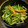 らごら's cooksnap of when they made 水菜とちくわのサラダ.