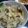 クックO4L6DZ☆'s cooksnap of when they made キャベツとしめじの炒め煮.