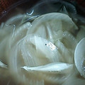 かぴーな's cooksnap of when they made 玉ねぎと揚げさんの味噌汁.