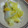 ぴいかん's cooksnap of when they made 簡単我が家の白菜の浅漬け.