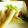 ささなお's cooksnap of when they made ＊すぐ出来！ごちそうサラダクレープ＊.