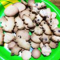 ねずみん☆'s cooksnap of when they made 簡単♪サクサク型抜きクッキー.