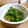 まひわ's cooksnap of when they made ほうれん草の梅和え.