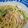 ｍａｒｉ♪'s cooksnap of when they made ツナとベーコンの和風スパゲティ.