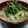 miyaken0's cooksnap of when they made ◆我が家の 鶏塩うどん◆.