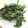 さいとろ's cooksnap of when they made ほうれん草のごま和え 甘目がおいしい♪.