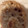 ゆうたんゆう's cooksnap of when they made れんこんのはさみ揚げ.