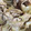 クックZOC4N6☆'s cooksnap of when they made 豚の生姜焼き.
