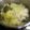 桃壱＊'s cooksnap of when they made 残り野菜もIN！白菜と豚バラの重ね煮.