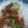 ニコラス刑事？'s cooksnap of when they made 簡単・さっぱり・梅大根サラダ.