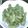 おばＱ's cooksnap of when they made ●枝豆のゆで方●.