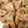 まっか♪'s cooksnap of when they made 簡単！ずりのニンニク炒め.