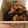 かずぷぅ's cooksnap of when they made 簡単！牛肉と 舞茸の スタミナ 炒め！♫.