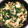 きくちはるこ's cooksnap of when they made ほうれん草と豆腐炒め.