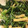 クックHU3VHP☆'s cooksnap of when they made ＊まびき菜大根のほっこり炒め＊.