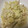 こゆきたけ's cooksnap of when they made 【節約】白菜のツナマヨ和風サラダ.