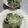はまちょん☆'s cooksnap of when they made もちもち生パスタ【ほうれんそう】.