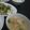 2児ママみきてぃ's cooksnap of when they made もやしと小間肉の具たくさんみそ汁.