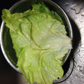 mantacarp's cooksnap of when they made 手だけで簡単 レタスをきれいにはがす方法.