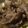 kkll0000's cooksnap of when they made 簡単豚丼.