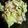 のえもゆ's cooksnap of when they made 簡単！冷蔵庫にある野菜で彩りサラダ.