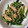 クックIKDMZ5☆'s cooksnap of when they made 小松菜とほうれん草とささみのナムル☆.