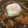 cucu521's cooksnap of when they made とろ～りタマゴの＊鶏ごぼう丼＊.