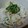 ★ぁねえ★'s cooksnap of when they made 鮭とシソの混ぜごはん.