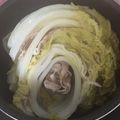 まりもzzz's cooksnap of when they made 白菜・豚コマだけ！ミルフィーユ鍋.