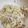さん太姉's cooksnap of when they made レンジで簡単☆白菜とおからのサラダ.