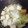 けめ＊'s cooksnap of when they made 厚揚げと白菜の煮物.