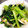 絢香のママ's cooksnap of when they made 【簡単あっさり副菜】小松菜の煮浸し.