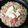 クックXO4PCX☆'s cooksnap of when they made 簡単！白菜のぐるぐる鍋.
