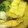 sara99's cooksnap of when they made 新巻き鮭のぽっかぽっか粕鍋.