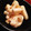 さらんだー's cooksnap of when they made れんこんのマスタードマヨ炒め.