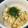 ノリサン's cooksnap of when they made 鮭ときのこの炊き込みごはん.