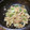 料理初心者きなこ's cooksnap of when they made 早く！簡単！美味しい！大根のツナ炒め.
