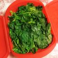 紋次郎1997's cooksnap of when they made ほうれん草をルクエで蒸す.