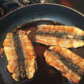 クックUQBO11☆'s cooksnap of when they made 簡単☆さんまのかば焼き.