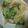 aami♪'s cooksnap of when they made 粉末ちゃんぽんスープが豚骨風に☆.